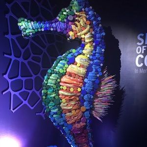 Meet your Posher, Chang